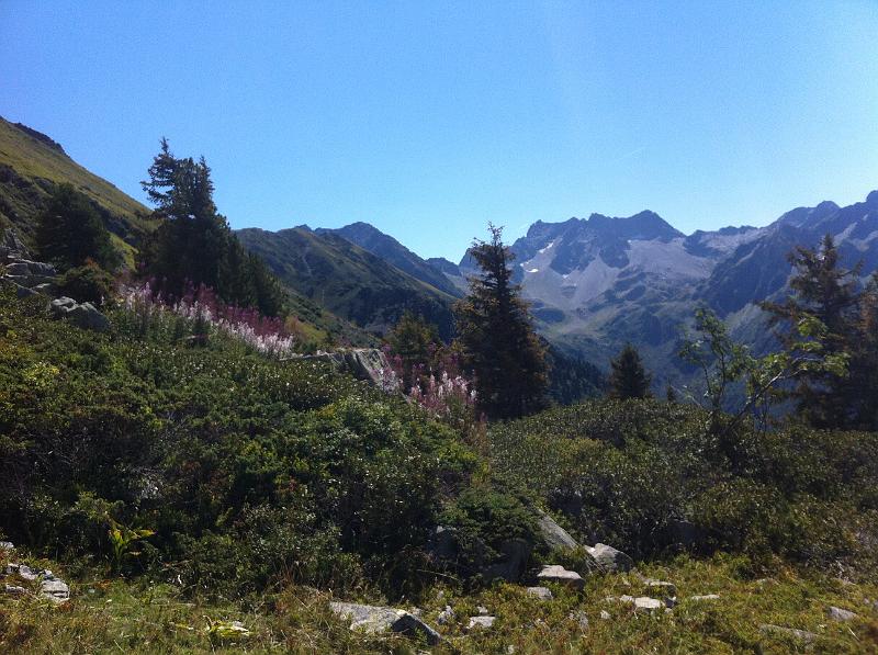 Nicky's photos (14).JPG